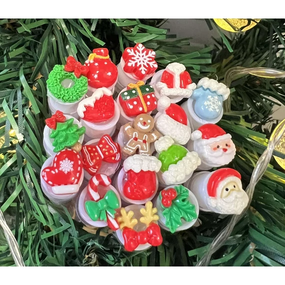 Weihnachtsbürstchen mit Behälter