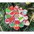 Bild 1/2 - Weihnachtsbürstchen mit Behälter